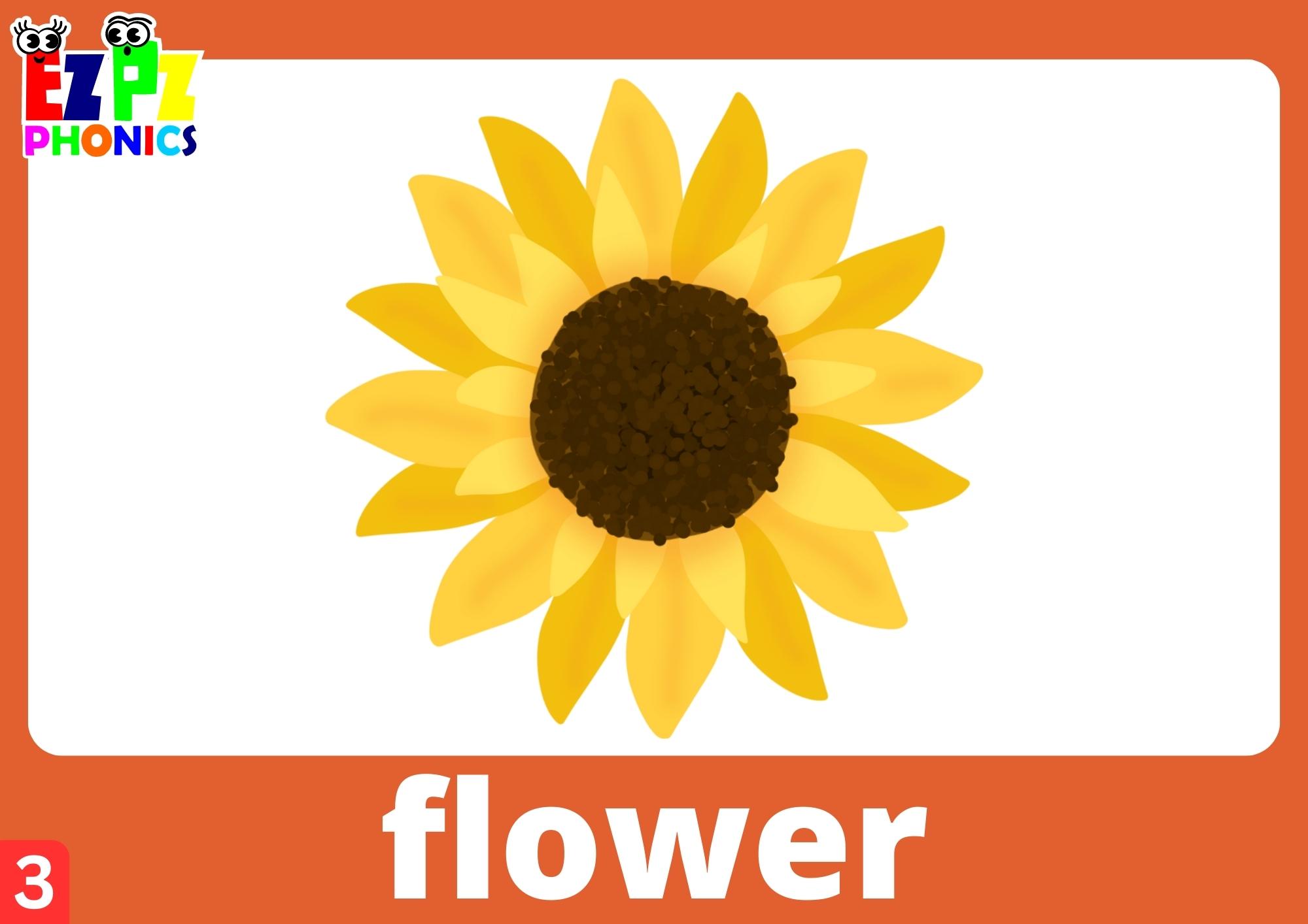 Letter Ff Words Phonics Flashcards with Images and Words Free Printable PDF or View Online For Homeschool Parents and Teachers to Teach Kindergarten and Preschool Children Group 3